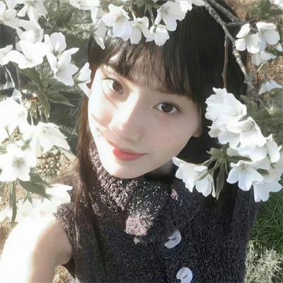 伊布丽的美食遗产